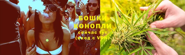 2c-b Богданович
