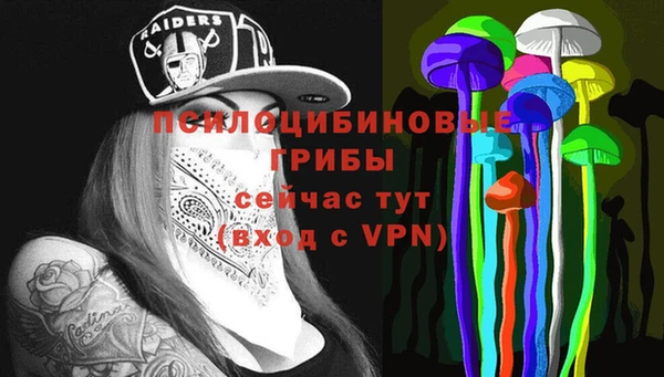 2c-b Богданович